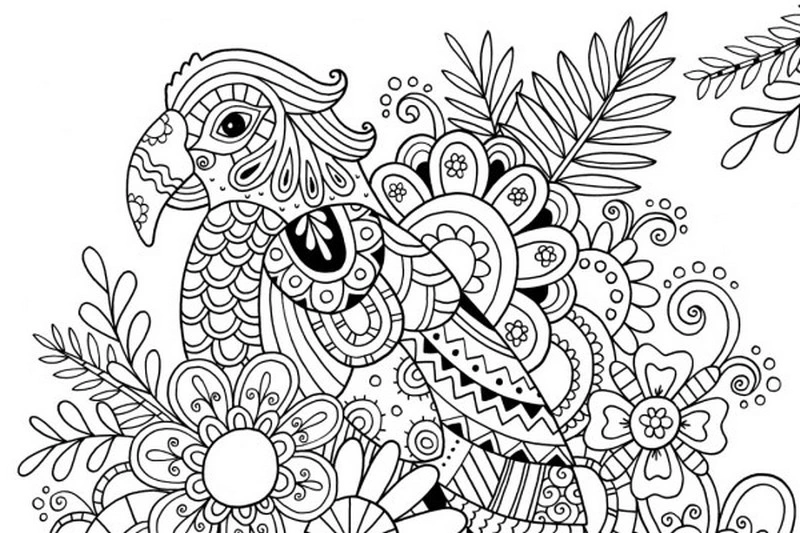 Antistress coloring parrot on vacation